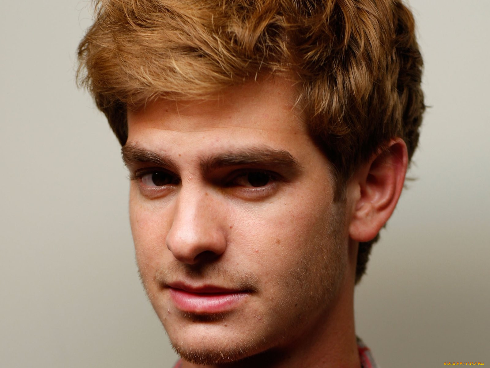 andrew, garfield, 